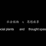 Xu tan Social Plants (7)