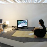 Living Room  (8)