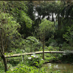 Mirrored Gardens, Photo: Wen Peng, Courtesy of Mirrored Gardens Archive